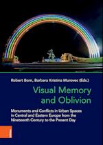 Visual Memory and Oblivion