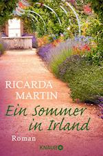 Ein Sommer in Irland