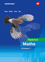 Mathematik für die Fachoberschulen in Hessen. Ausbildungsabschnitt I: Schülerband 11