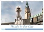 Hunde in der City - Unterwegs in Hamburg (Wandkalender 2025 DIN A4 quer), CALVENDO Monatskalender