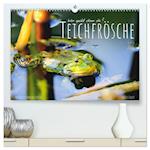 Teichfrösche (hochwertiger Premium Wandkalender 2025 DIN A2 quer), Kunstdruck in Hochglanz