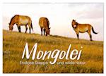 Mongolei - Endlose Steppe und wilde Natur. (Wandkalender 2025 DIN A2 quer), CALVENDO Monatskalender