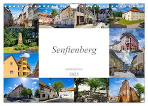 Senftenberg Impressionen (Wandkalender 2025 DIN A4 quer), CALVENDO Monatskalender