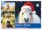 Kleine Pferde. Mini-Ponys zum verlieben (Wandkalender 2025 DIN A2 quer), CALVENDO Monatskalender