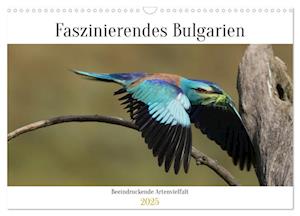 Faszinierendes Bulgarien (Wandkalender 2025 DIN A3 quer), CALVENDO Monatskalender