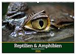 Reptilien & Amphibien Portraits (Wandkalender 2025 DIN A2 quer), CALVENDO Monatskalender