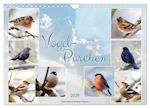 Vogel-Pärchen (Wandkalender 2025 DIN A4 quer), CALVENDO Monatskalender