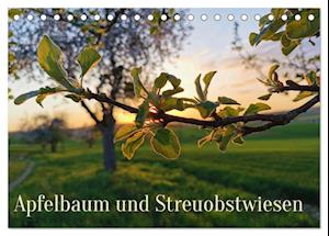 Apfelbaum und Streuobstwiesen (Tischkalender 2025 DIN A5 quer), CALVENDO Monatskalender