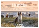 Hunde an der Nordsee (Wandkalender 2025 DIN A3 quer), CALVENDO Monatskalender