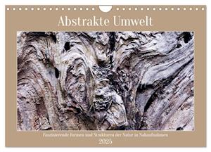 Abstrakte Umwelt (Wandkalender 2025 DIN A4 quer), CALVENDO Monatskalender