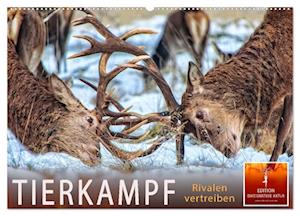 Tierkampf - Rivalen vertreiben (Wandkalender 2025 DIN A2 quer), CALVENDO Monatskalender