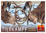 Tierkampf - Rivalen vertreiben (Wandkalender 2025 DIN A2 quer), CALVENDO Monatskalender