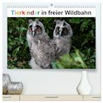 Tierkinder in freier Wildbahn (hochwertiger Premium Wandkalender 2025 DIN A2 quer), Kunstdruck in Hochglanz