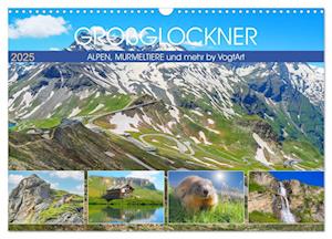 Großglockner, Alpen, Murmeltiere & mehr by VogtArt (Wandkalender 2025 DIN A3 quer), CALVENDO Monatskalender