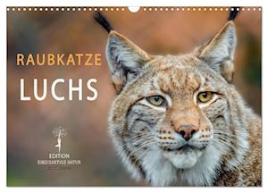 Raubkatze Luchs (Wandkalender 2025 DIN A3 quer), CALVENDO Monatskalender