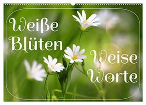 Weiße Blüten, weise Worte (Wandkalender 2025 DIN A2 quer), CALVENDO Monatskalender