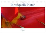 Kraftquelle Natur (Wandkalender 2025 DIN A4 quer), CALVENDO Monatskalender