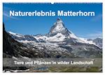 Naturerlebnis Matterhorn (Wandkalender 2025 DIN A2 quer), CALVENDO Monatskalender