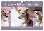 Elegante Silken Windsprite (Wandkalender 2025 DIN A4 quer), CALVENDO Monatskalender