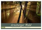 Arnsberger Wald (Wandkalender 2025 DIN A2 quer), CALVENDO Monatskalender