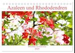 Azaleen und Rhododendren Blütenbilder (Tischkalender 2025 DIN A5 quer), CALVENDO Monatskalender