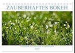 Zauberhaftes Bokeh - Glitzernde Welt winziger Wassertropfen (Tischkalender 2025 DIN A5 quer), CALVENDO Monatskalender