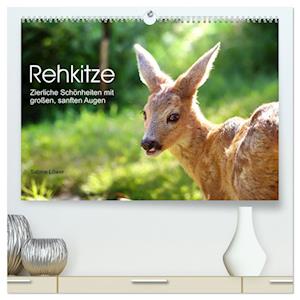 Rehkitze, zierliche Schönheiten mit großen, sanften Augen (hochwertiger Premium Wandkalender 2025 DIN A2 quer), Kunstdruck in Hochglanz