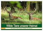 Wilde Tiere unserer Heimat (Wandkalender 2025 DIN A2 quer), CALVENDO Monatskalender