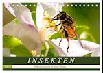 INSEKTEN - Makrofotografie in freier Natur (Tischkalender 2025 DIN A5 quer), CALVENDO Monatskalender