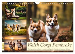 Welsh Corgi Pembroke (Wandkalender 2025 DIN A4 quer), CALVENDO Monatskalender