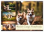 Welsh Corgi Pembroke (Wandkalender 2025 DIN A4 quer), CALVENDO Monatskalender