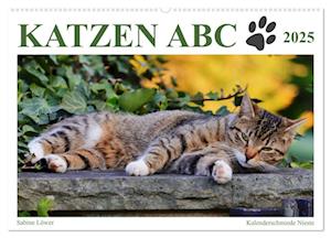 Katzen ABC (Wandkalender 2025 DIN A2 quer), CALVENDO Monatskalender