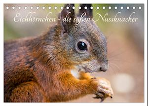 Eichhörnchen - die süßen Nussknacker (Tischkalender 2025 DIN A5 quer), CALVENDO Monatskalender