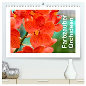 Farbzauber Orchideen (hochwertiger Premium Wandkalender 2025 DIN A2 quer), Kunstdruck in Hochglanz