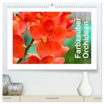 Farbzauber Orchideen (hochwertiger Premium Wandkalender 2025 DIN A2 quer), Kunstdruck in Hochglanz