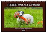 100000 Volt auf vier Pfoten - Jack und Parson Russell Terrier (Wandkalender 2025 DIN A2 quer), CALVENDO Monatskalender