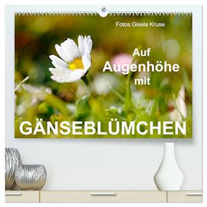 Auf Augenhöhe mit Gänseblümchen (hochwertiger Premium Wandkalender 2025 DIN A2 quer), Kunstdruck in Hochglanz