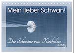 Mein lieber Schwan! Die Schwäne vom Kochelsee. (Tischkalender 2025 DIN A5 quer), CALVENDO Monatskalender