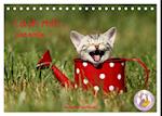 lach mit...just smile (Tischkalender 2025 DIN A5 quer), CALVENDO Monatskalender