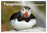 Papageitaucher - kleine Vögel ganz groß! (Wandkalender 2025 DIN A4 quer), CALVENDO Monatskalender