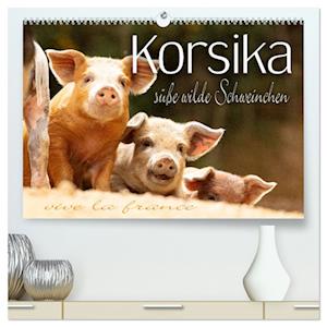 Korsika - süße, wilde Schweinchen (hochwertiger Premium Wandkalender 2025 DIN A2 quer), Kunstdruck in Hochglanz