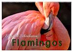 Flamingos - elegante Schönheiten (Wandkalender 2025 DIN A2 quer), CALVENDO Monatskalender