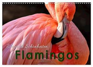 Flamingos - elegante Schönheiten (Wandkalender 2025 DIN A3 quer), CALVENDO Monatskalender