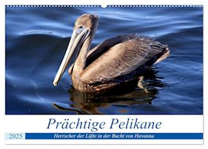 Prächtige Pelikane - Herrscher der Lüfte in der Bucht von Havanna (Wandkalender 2025 DIN A2 quer), CALVENDO Monatskalender