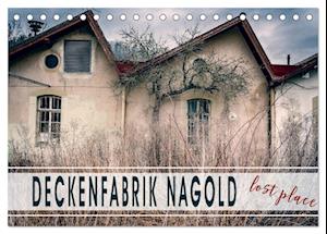 Deckenfabrik Nagold - lost place (Tischkalender 2025 DIN A5 quer), CALVENDO Monatskalender