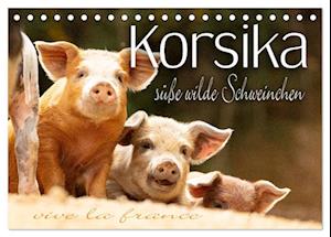 Korsika - süße, wilde Schweinchen (Tischkalender 2025 DIN A5 quer), CALVENDO Monatskalender