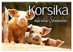 Korsika - süße, wilde Schweinchen (Wandkalender 2025 DIN A2 quer), CALVENDO Monatskalender