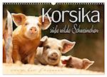 Korsika - süße, wilde Schweinchen (Wandkalender 2025 DIN A3 quer), CALVENDO Monatskalender