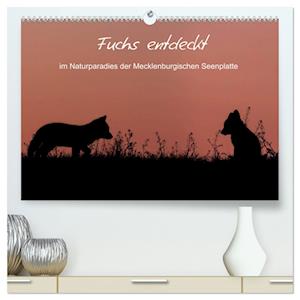 Fuchs entdeckt - im Naturparadies der Mecklenburgischen Seenplatte (hochwertiger Premium Wandkalender 2025 DIN A2 quer), Kunstdruck in Hochglanz