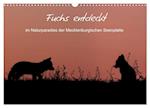 Fuchs entdeckt - im Naturparadies der Mecklenburgischen Seenplatte (Wandkalender 2025 DIN A3 quer), CALVENDO Monatskalender